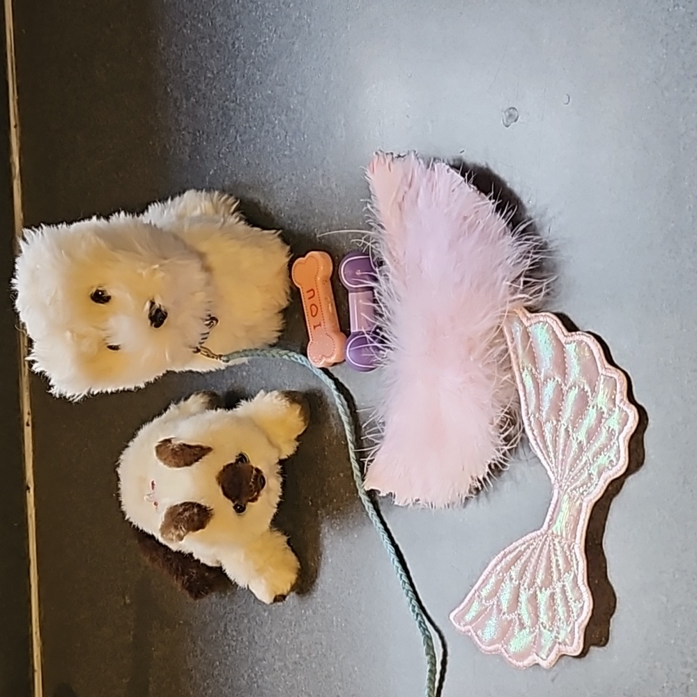 American Girl Coconut and Kitten